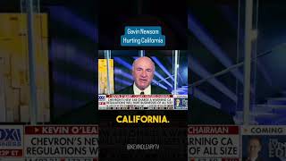 Gavin Newsom Is Hurting California