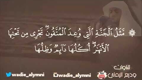 تلاوة غاية في الجمال من سورة الرعد وديع اليمني