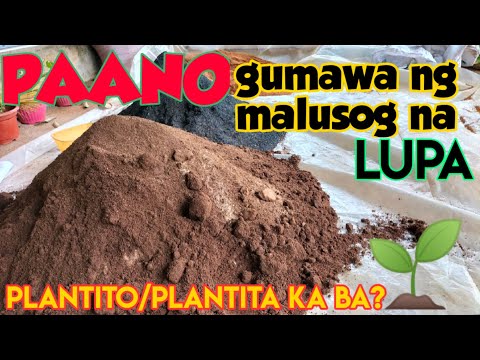 Video: Aling Mga Halaman Ang Naglalaman Ng Maraming Beta-carotene