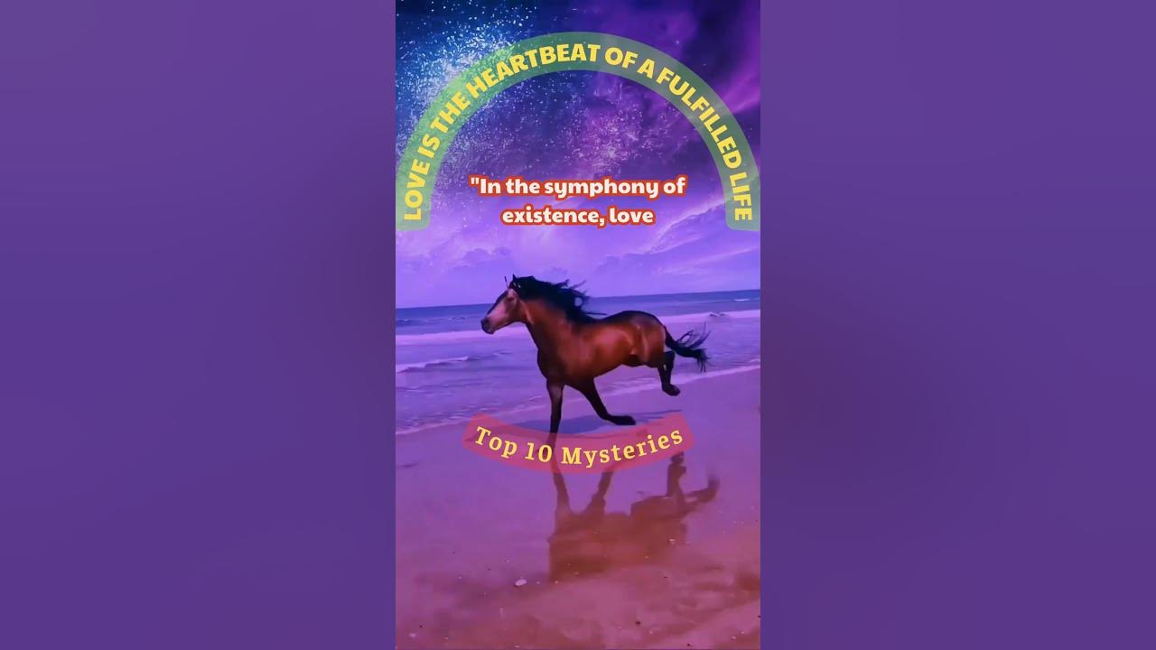 in-the-symphony-of-existence-love-self-discovery-meaning-of