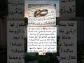 كلما يتخاصم مع زوجته يقول لها ارتدي ملابسك واتبعيني كانت الزوجة عاقلة تستمع له