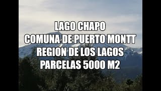 Proyecto "Alerce austral" Comuna se Puerto Montt - Región de Los Lagos