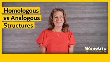 Homologous vs. Analogous Structures