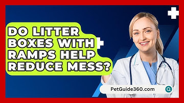 Do Litter Boxes With Ramps Help Reduce Mess? - PetGuide360.com