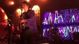 LES CLAYPOOL (Primus) LIVE! Iowan Gal (Of Wales and Woe)