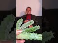   الأورام الليفية الرحمية