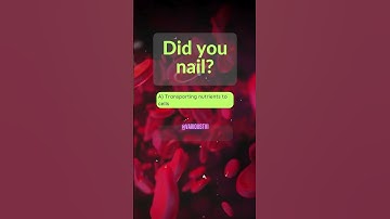 What is the main function of the circulatory system? (QUIZ - BIOLOGY)