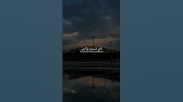 تـلاوة|الشيخ|مـحمـد أيـوب|#محمد_ايوب#قرآن#تلاوة_مميزة#تلاوة_هادئة#تلاوة_خاشعة#قران_كريم#quran#islam|