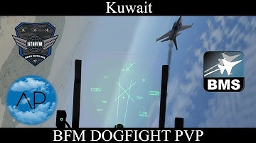 Falcon BMS - 669VFS - PvP BFM Dogfight Training