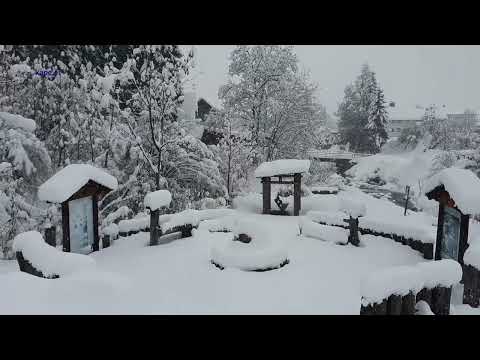 Kräftiger Schneefall in Österreich