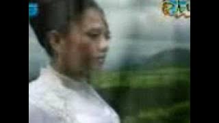 perkutut putih_bulan arbela_PMc.3gp