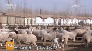 20170223 乡土  这里的人“有一套”