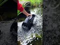 SODLK S1617 320watt outdoor waterproof speaker #sodlk #speaker #bass #waterproof roof