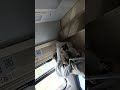 Наш переезд с Хабаровска в Тюмень 🚴♀️