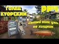 Голец Куорский в РР4. Озеро Куори