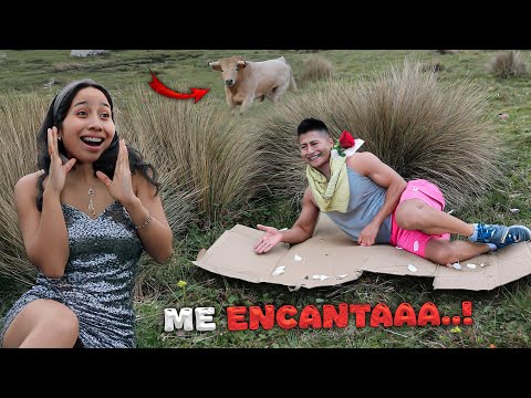 PICNIC en el