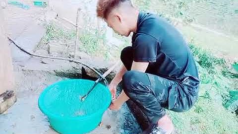 Muab qhiav daj coj log txhaub ntxuav qaib mag zoo tiag2