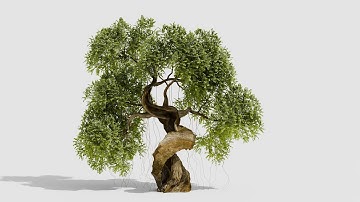 Create Stunning 3D Trees in Blender  | Part 2
