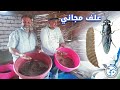 أسرار تربية يرقات الجندي الأسود من الدوده حتى الفراشه 