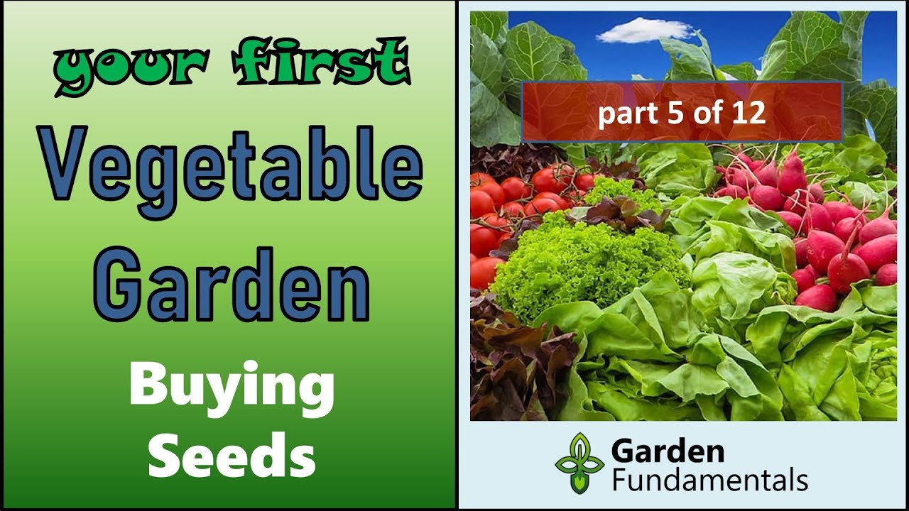 Using Vegetable Grow Bags in the Garden - Melissa K. Norris