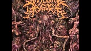 Visceral Disgorge - Spastic Anal Lacerations (Lyrics)