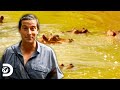 Bear Grylls tem encontro inesperado com hipopótamos na Savana Africana | À Prova de Tudo | Discovery