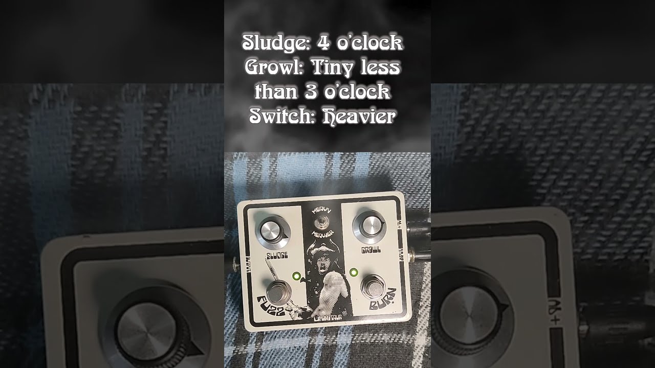 Sweet Spot // Minotaur Sonic Terrors Fuzz & Burn #fuzz #doom