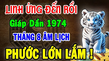 BÍ MẬT ĐỘNG TRỜI: Giáp Dần 1974, Chuẩn bị có VẬN KHÍ LỚN Trong Tháng 8 ÂL 2025