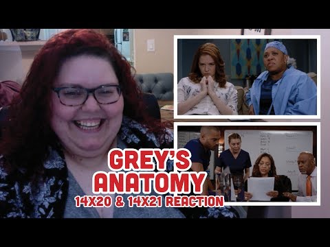 Grey's Anatomy 14x20