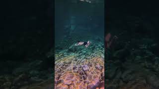 Sirius Gph12 Underwater
