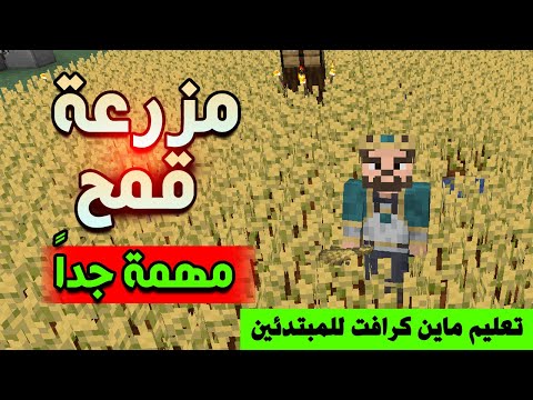 فيديو: 3 طرق للعب ألعاب Minecraft Survival