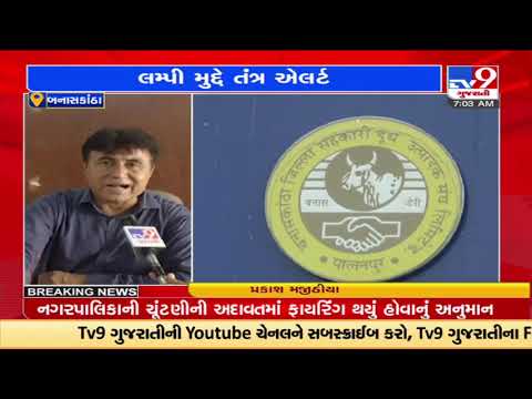 Banas dairy and authority determined to curb lumpy virus in Banaskantha |Gujarat |TV9GujaratiNews