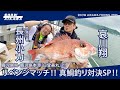 哀川翔vs長州小力‼︎リベンジマッチ‼︎ 真鯛釣り対決SP‼︎︎ 【鹿児島県・鹿児島本港『日登美丸』 】