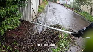 MAN IN BLUE TRANSFORMS NEGLECTED YARD INTO OASIS