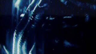 Immigrant Song - Karen O with Trent Reznor and Atticus Ross