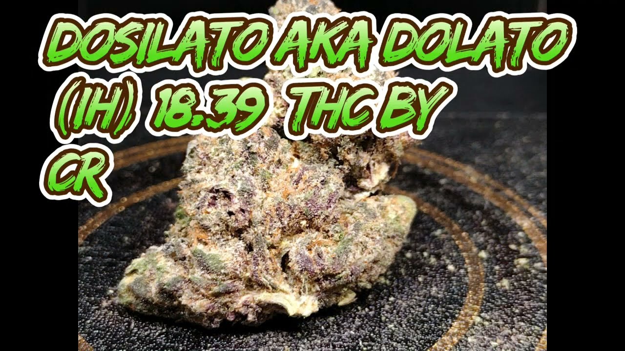 Dosilato AKA Dolato (IH) Strain Review Budpedia