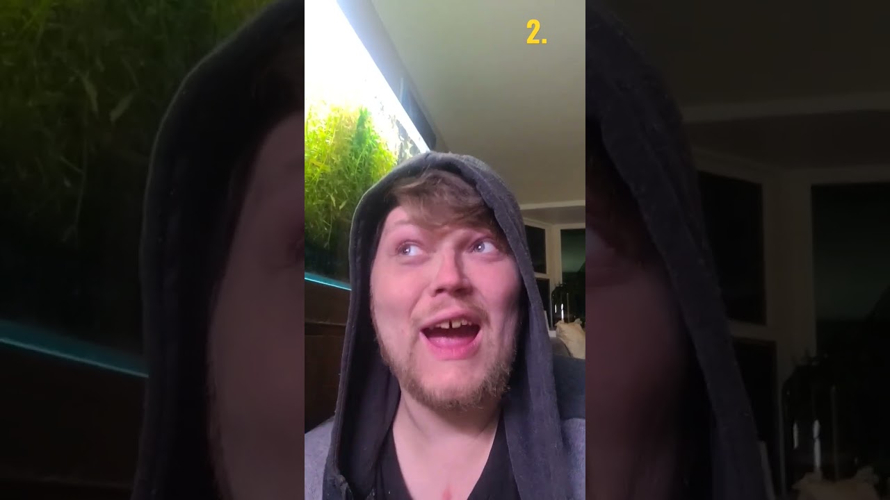 5 Sentances Non Fish/ Shrimp Keepers CAN'T UNDERSTAND. Shrimp 