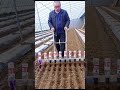 Innovative Greenhouse Row Planter Tool #shorts