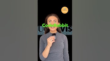 Revolutionizing Code Review with AI-Powered CodeRabbit