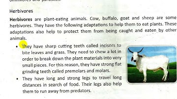 Class 4 Science, Chapter 4: Adaptations for Survival in Animals (Part 2)