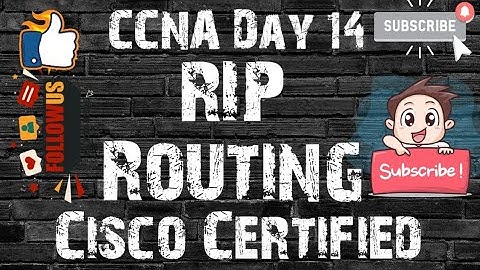 14) How To Configure RIP Routing  Protocols In Cisco Packet Tracer In Hindi