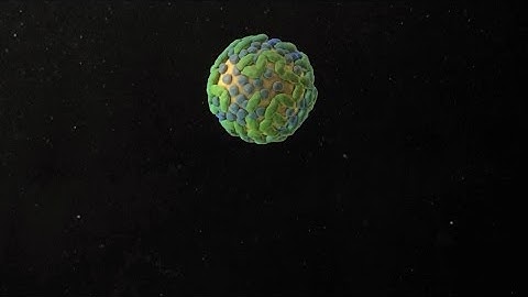 How Does Hepatitis C Hurt Your Liver? | WebMD