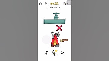 BRAIN OUT - CATCH THE RAT ANSWER.