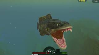 Feed & Grow Fish Snakehead Vs Megalodon