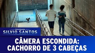 Câmera Escondida (03/07/16) - Cachorro de Três Cabeças (Cerberus Prank)