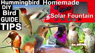 Hummingbird Bird Bath BEWARE *What You Should Know* How To Make ENDLESS Solar Powered Water Fountain
