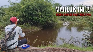 Mancing Ikan Gabus Di Kanal Dan Rawa Pedalaman Riau