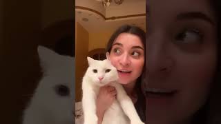 مرة في حينا زارنا قط لطيف  ❤🐱.