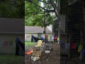 We need to redo the clothesline & trim the maple tree more… need a ladder