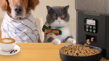 Ciays Automatic Cat Feeders, 5.6L Cat Food Dispenser Up to 20 Portions Control 4 Meals Per Day,Black